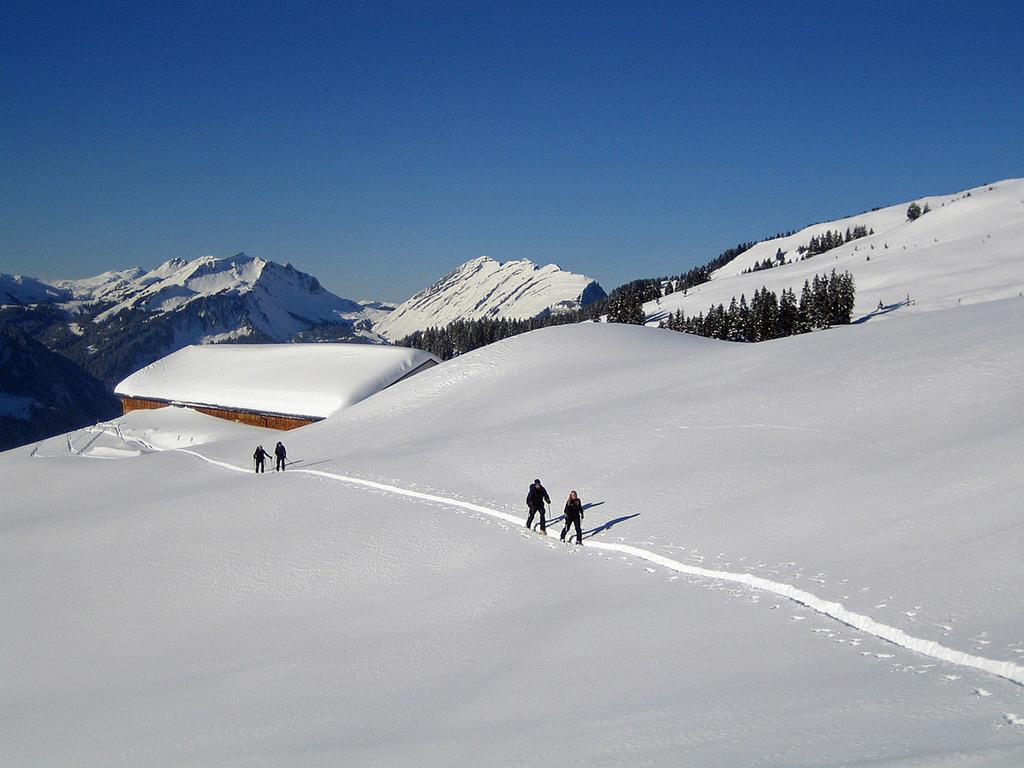 Caroline'S Appartement Au (Vorarlberg) المظهر الخارجي الصورة